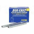 Duo Fast Staples Duo-Fast Staples-5M Bx 5016C